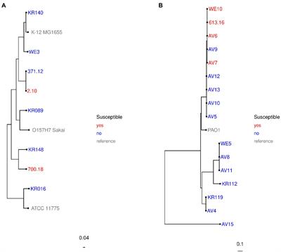 Increased zinc levels facilitate phenotypic detection of ceftazidime-avibactam resistance in metallo-β-lactamase-producing Gram-negative bacteria